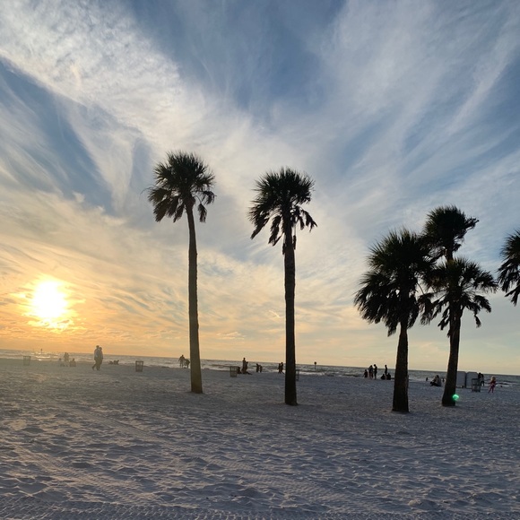 Meet your Posher, Tabitha - Picture 1 of 1